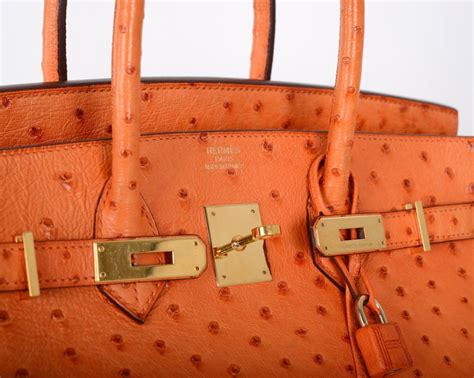 hermes birkin orange ostrich price|Hermes Birkin handbag outlet.